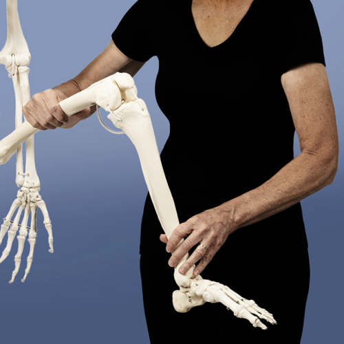 KGI_Design_Karen_Correia_Thumbnail_768