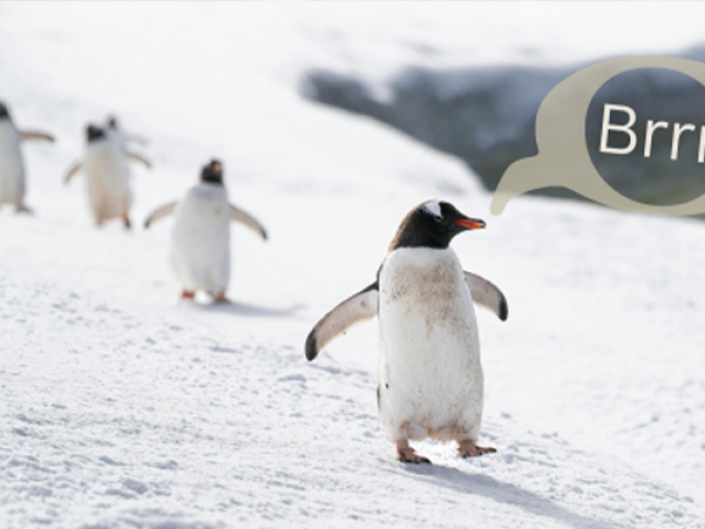 KGI_Blog_Artwork_Brrr